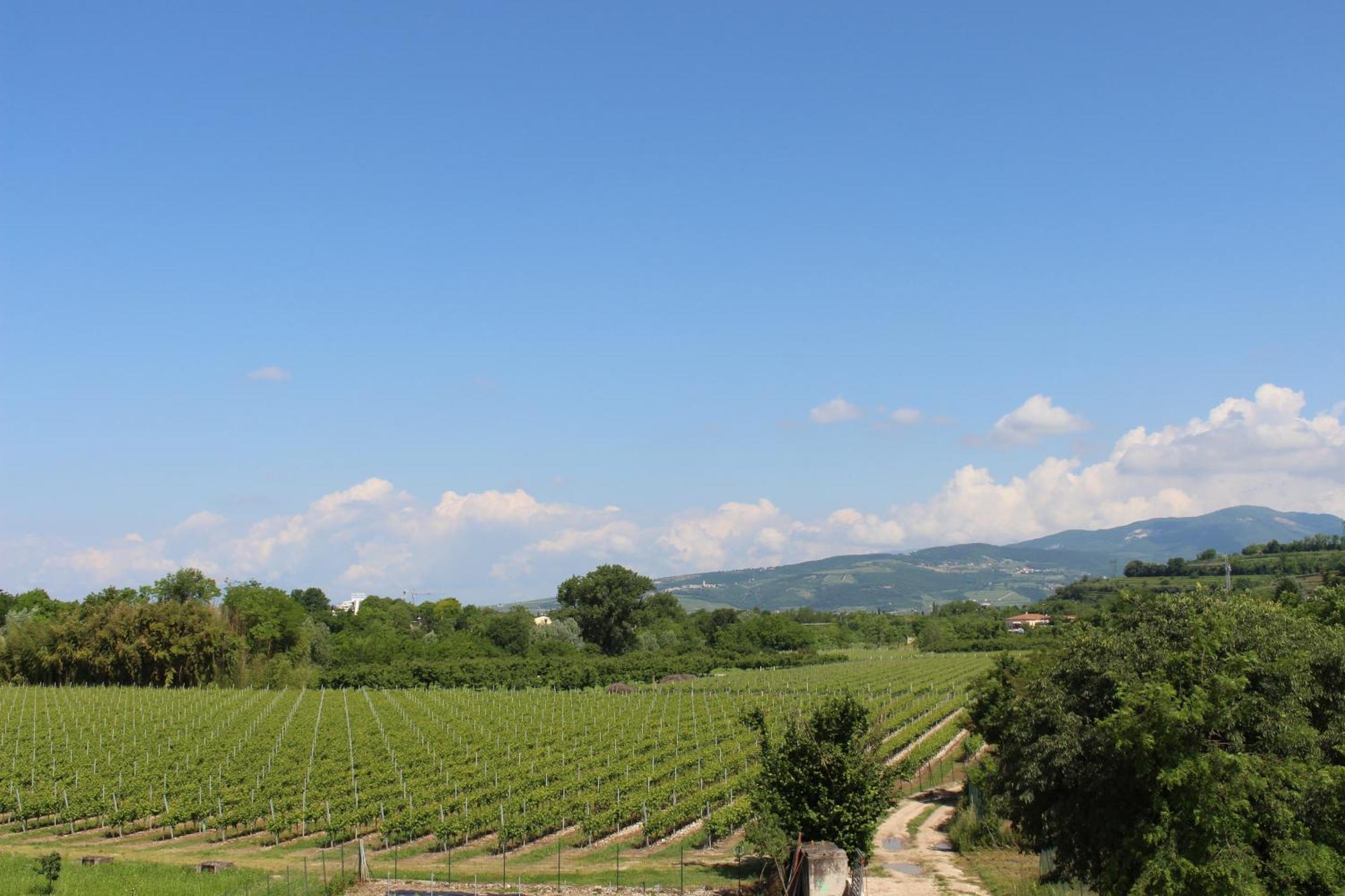 Bed And Breakfast Ca Tognella Pescantina Bagian luar foto